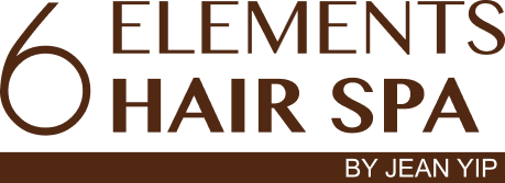 6 Element Hair Spa Logo