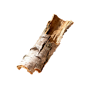 WILLOW BARK